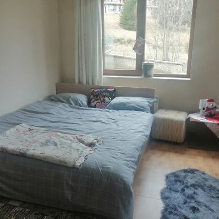 Apartment Dream 潘波洛沃 外观 照片